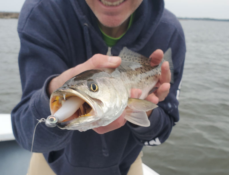 speckled sea trout on a jig