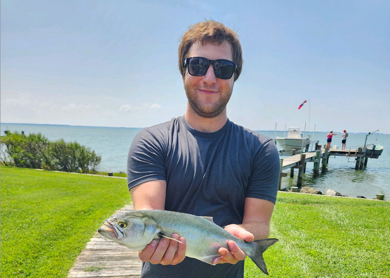 bluefish caught in the choptank