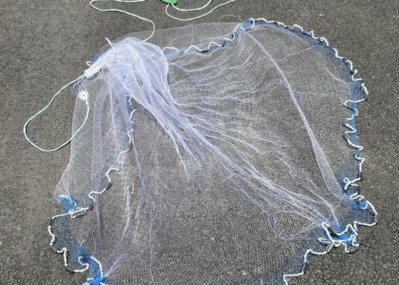 cast net for fish