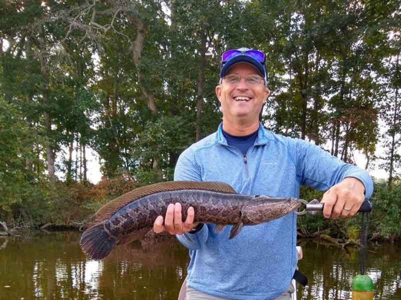 caught a snakehead