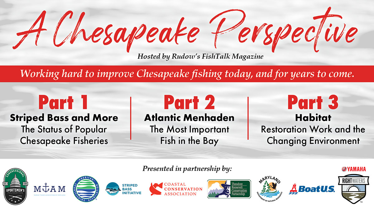 a chesapeake perspective