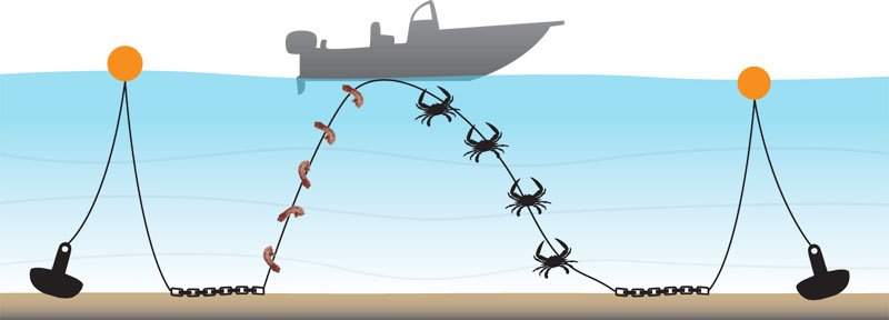 trot-lining diagram