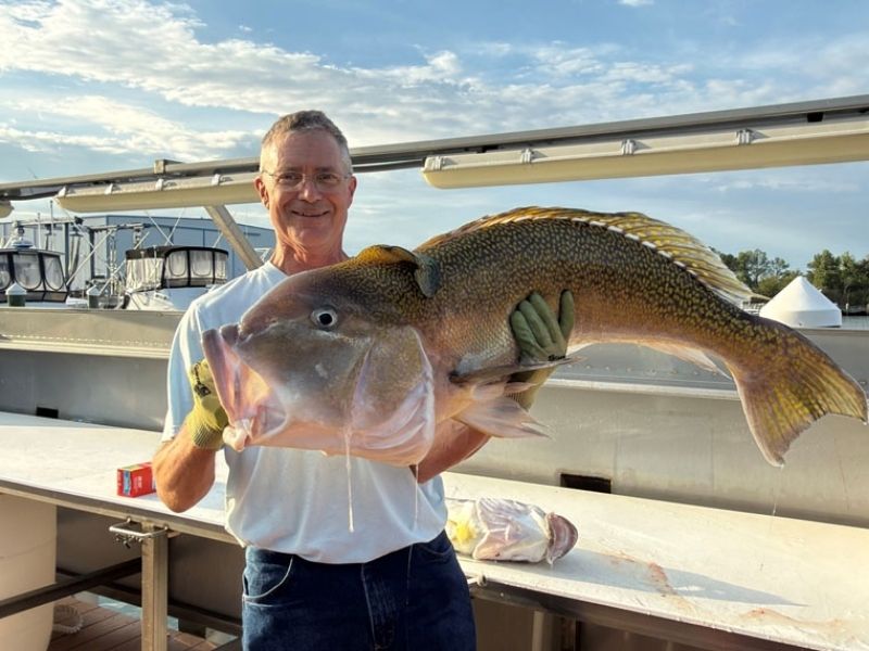 Golden tilefish fishing