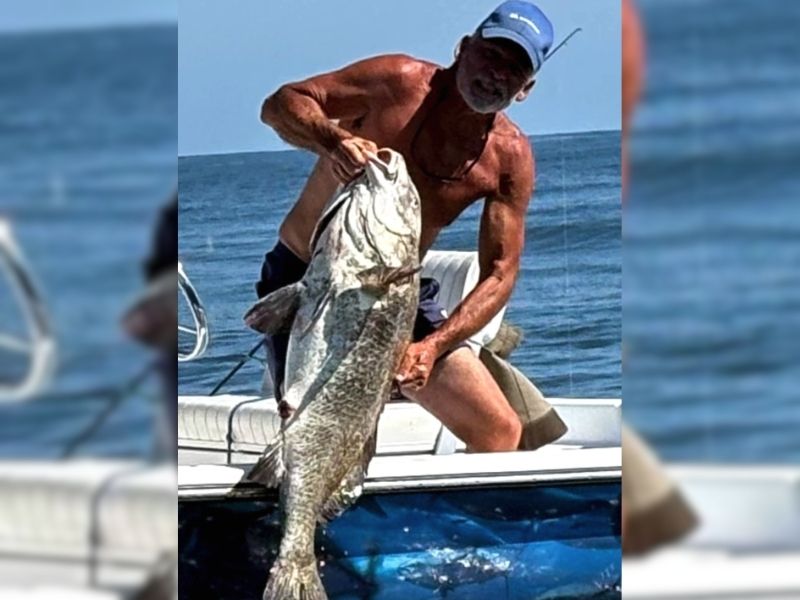 Black drum fishing