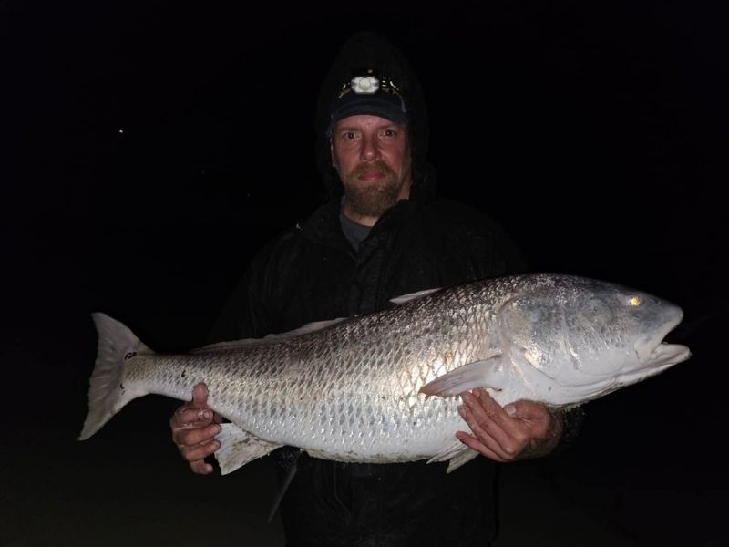 Red drum surf fishing