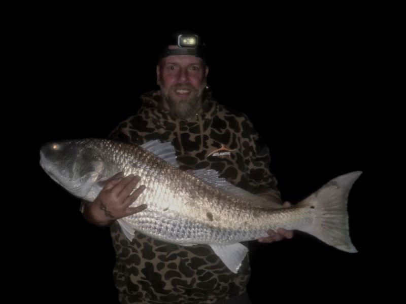 Red drum surf fishing