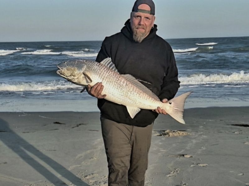 Red drum surf fishing