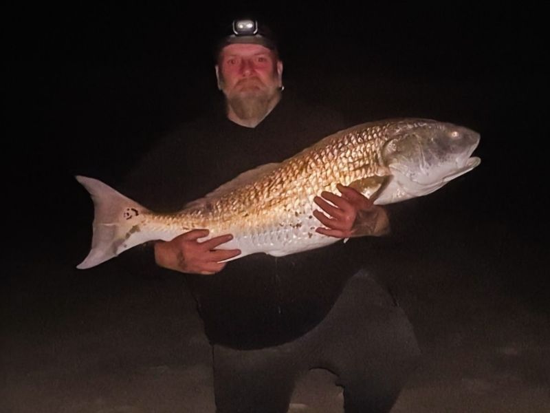 Red drum surf fishing