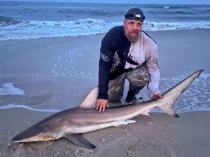 Shark surf fishing