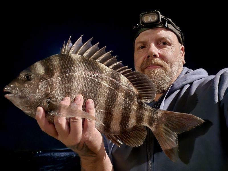 Sheepshead fishing Ocean City