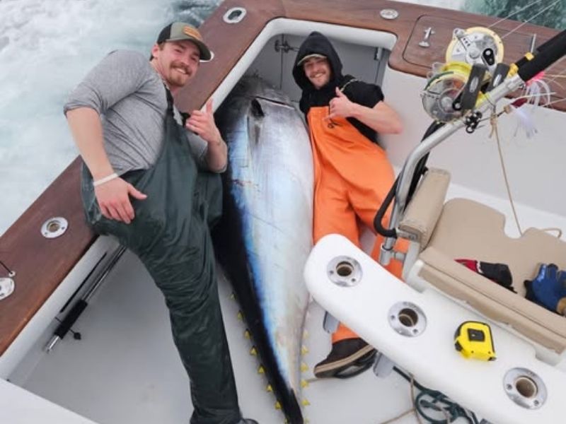 Bluefin tuna fishing