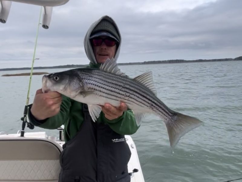 Ocean City striped bass fishing coastal