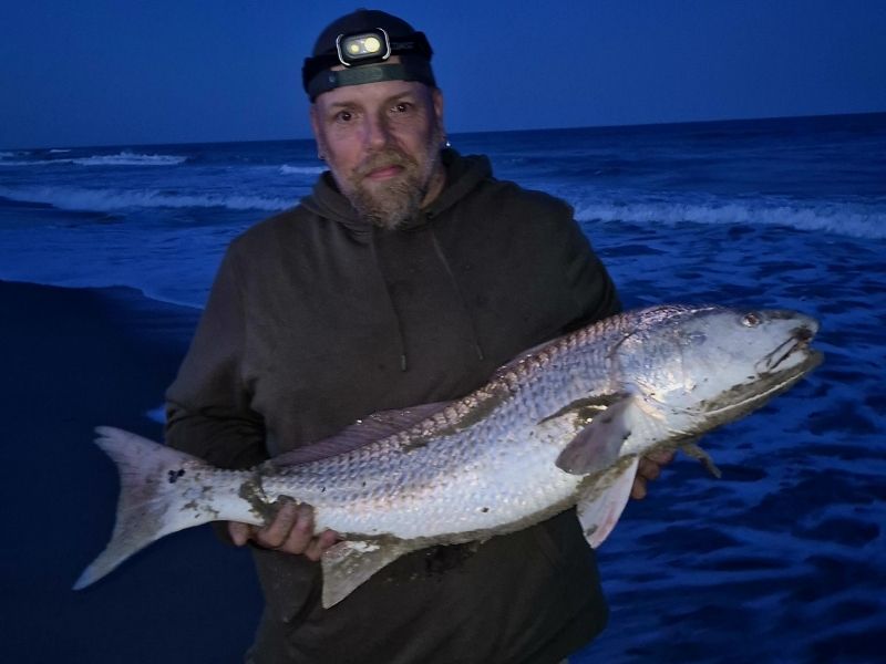 Red drum surf fishing