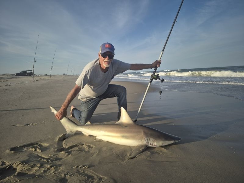 Shark Fishing