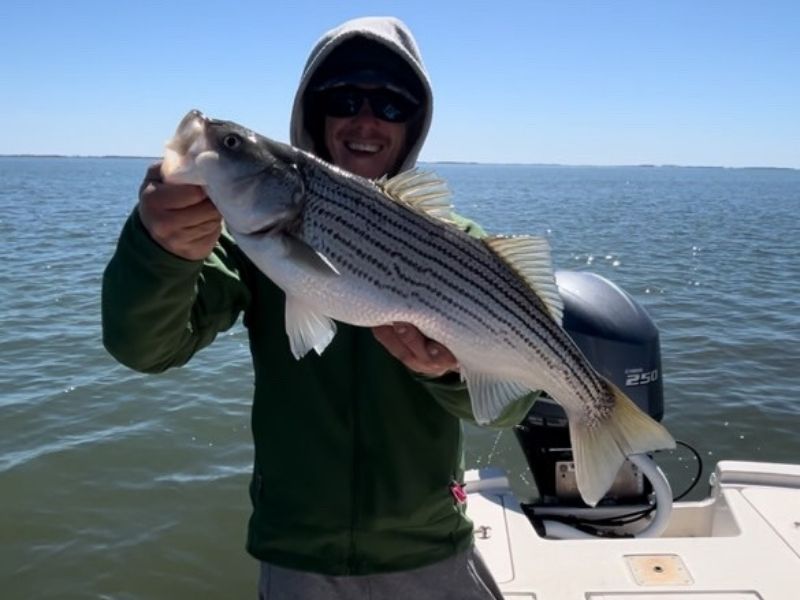 Striped bass fishing Ocean City