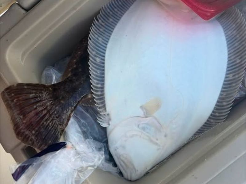 flounder fishing ocean city maryland