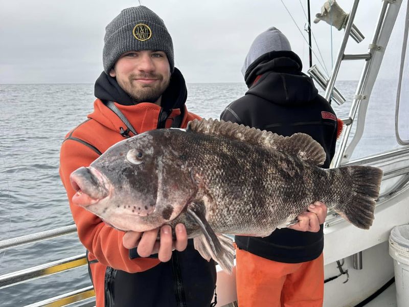 tautog fishing ocean city maryland