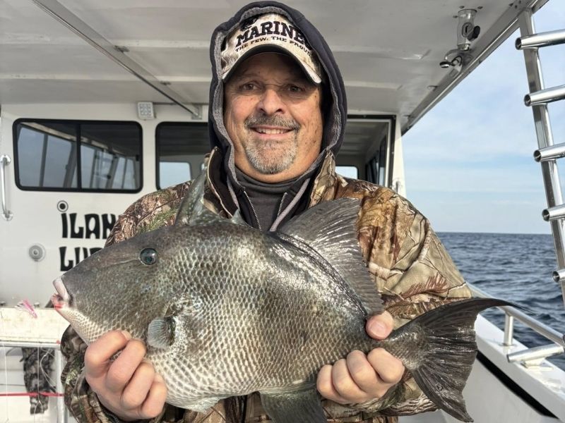 Triggerfish fishing Virginia Beach