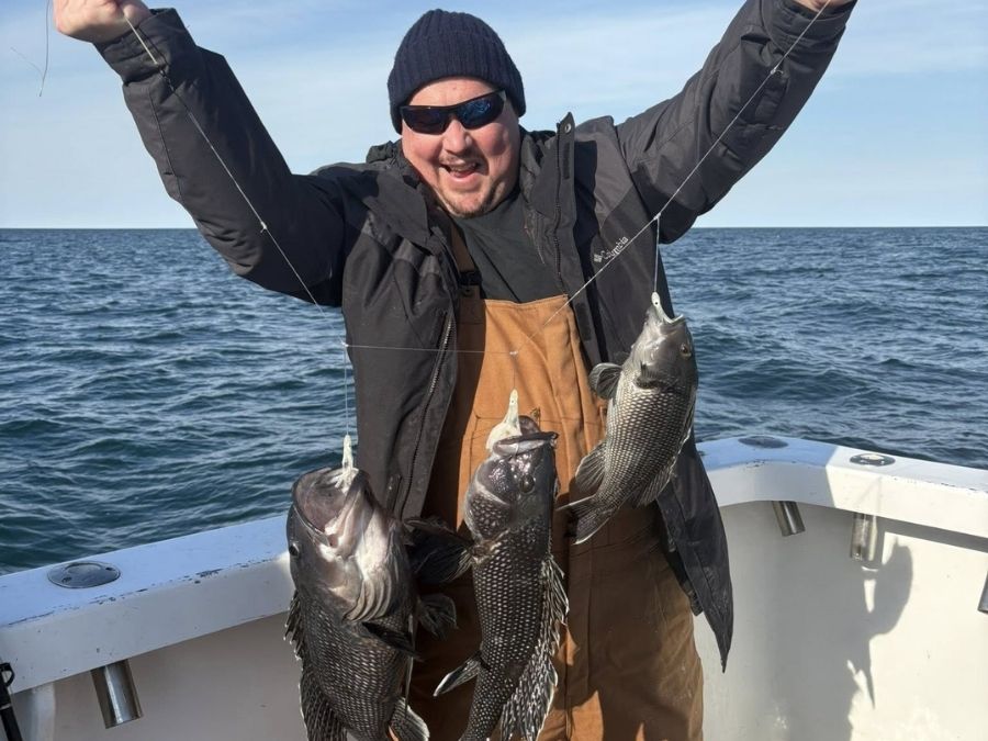 Sea bass fishing Virginia Beach