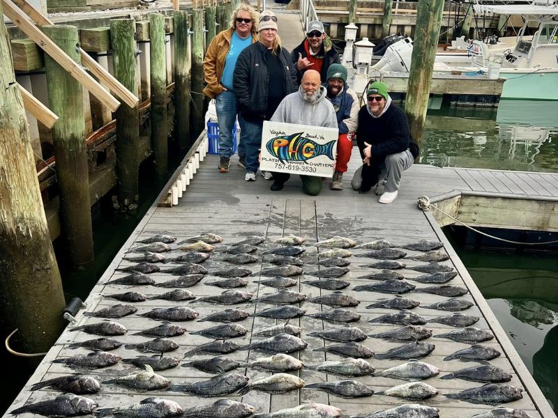 Black sea bass fishing Virginia Beach