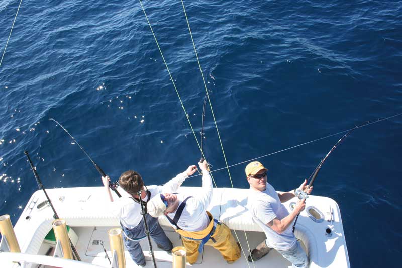A triple hook-up on jigging and spinning gear, while fishing for winter bluefin off the Carolina coast.