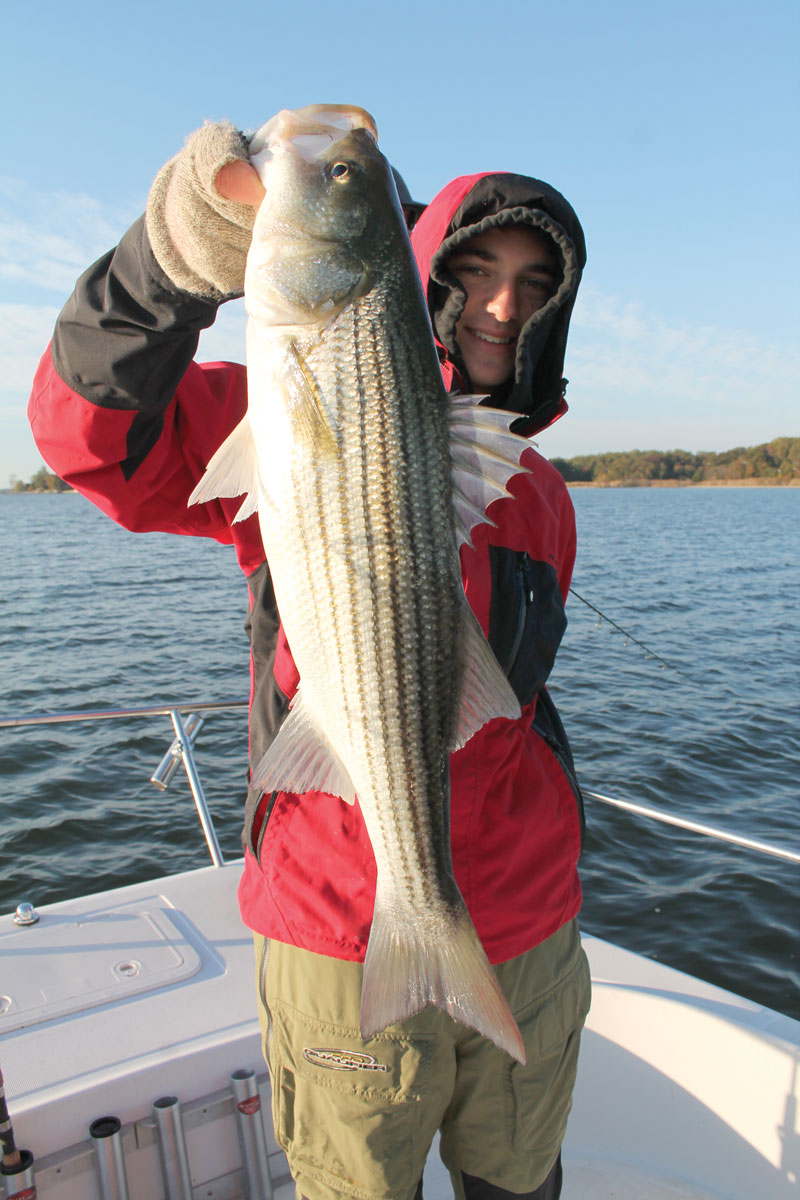 At this time of year, many stripers prowl the mouths of tributaries on the hunt for peanut bunker. This one was in the mouth of the South.