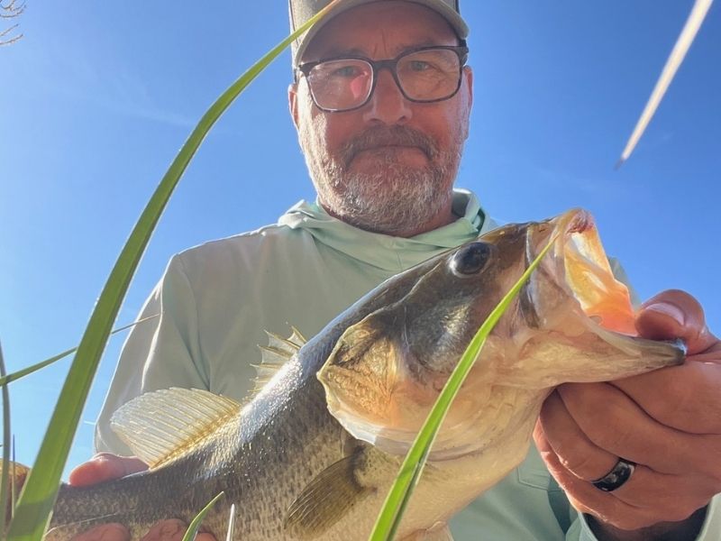 Largemouth bass fishing