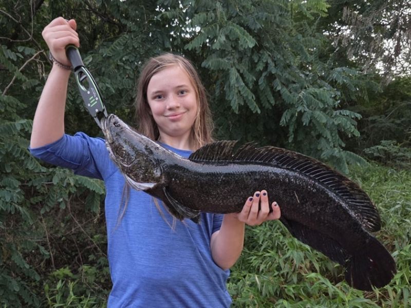 Snakehead fishing