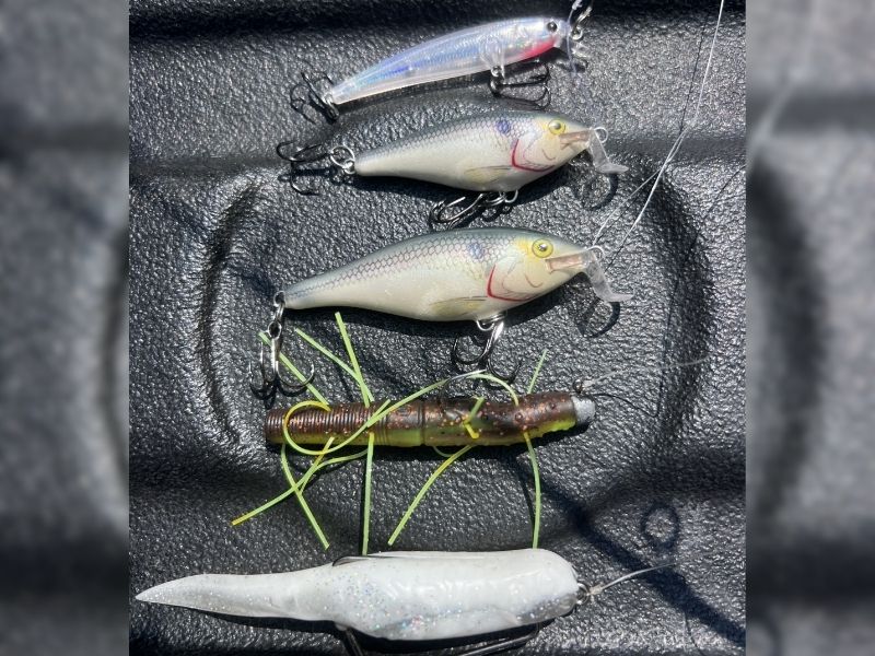 Freshwater fishing