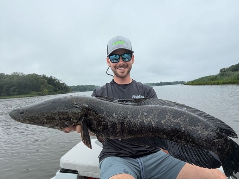 snakehead fishing maryland