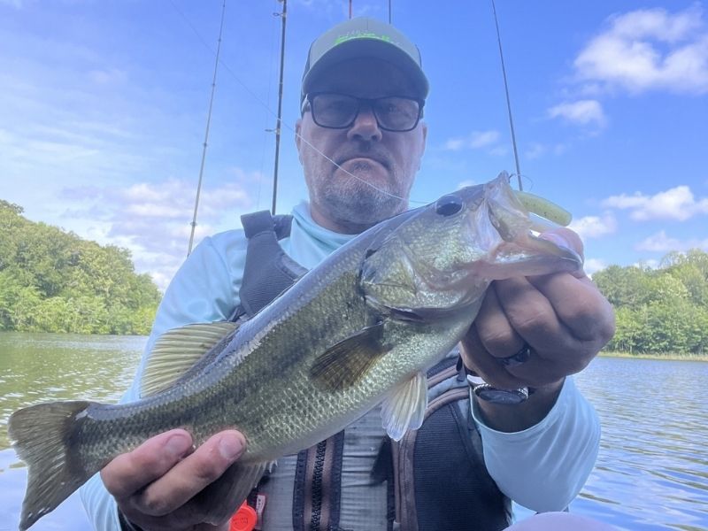 Largemouth bass fishing