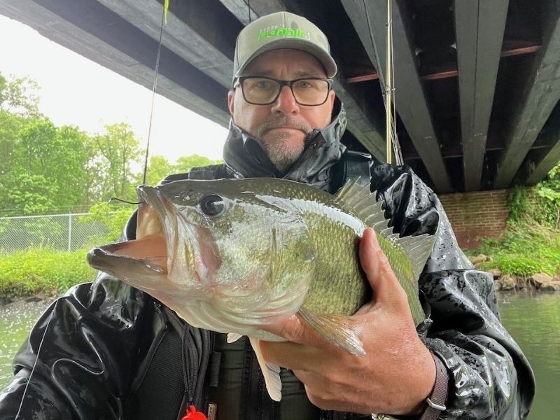 bass fishing freshwater fishing