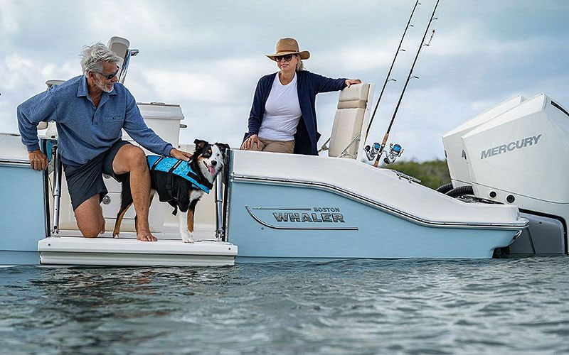 boston whaler side entry door on 280 dauntless