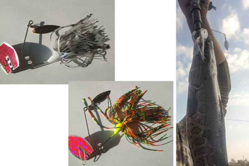 Ice Fishing Plastics - Crazy Bug – Fishing Addiction Gear