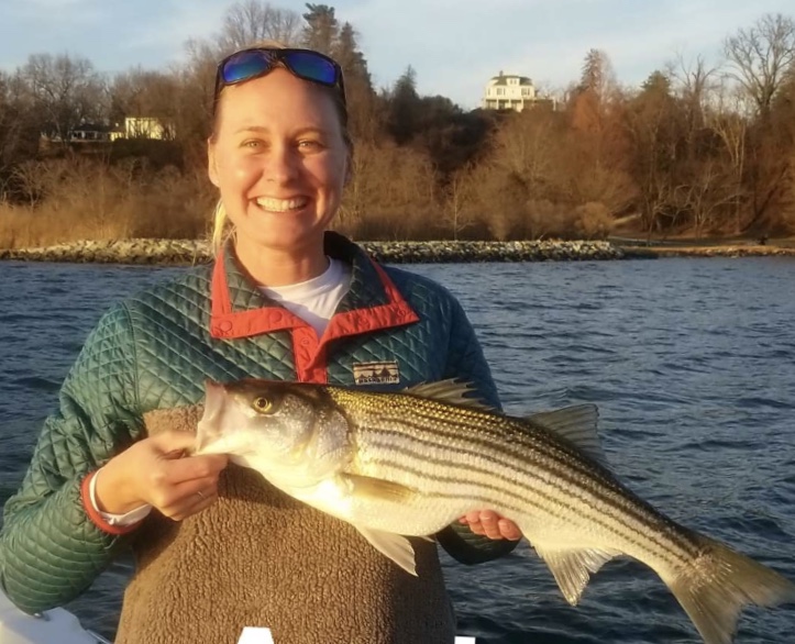 stripers in the severn