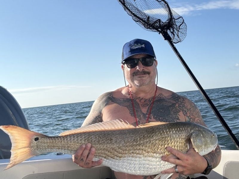 Bull red drum Chesapeake Bay