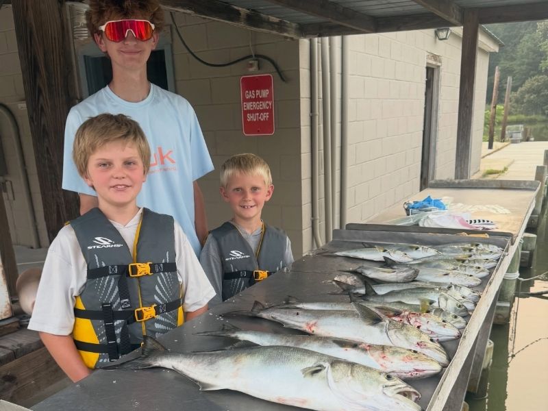 Chesapeake Bay Fishing