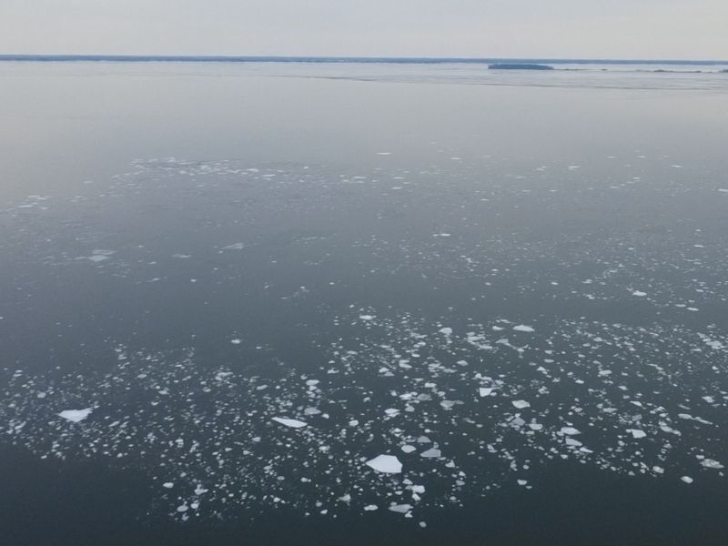 Chesapeake Bay Ice