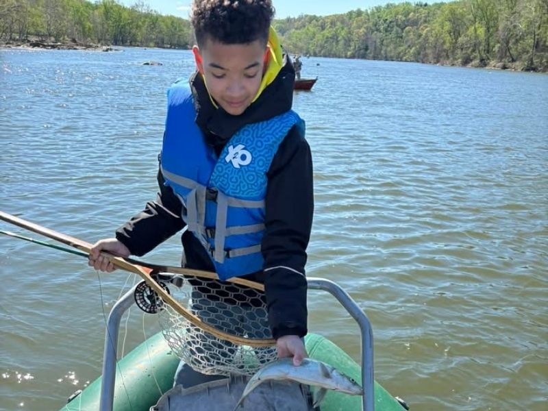Spring shad fishing