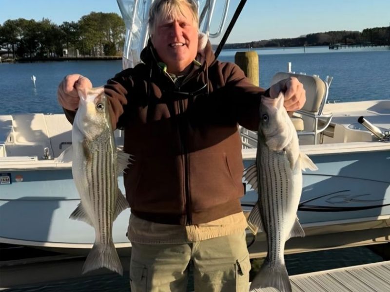 striped bass fishing chesapeake bay