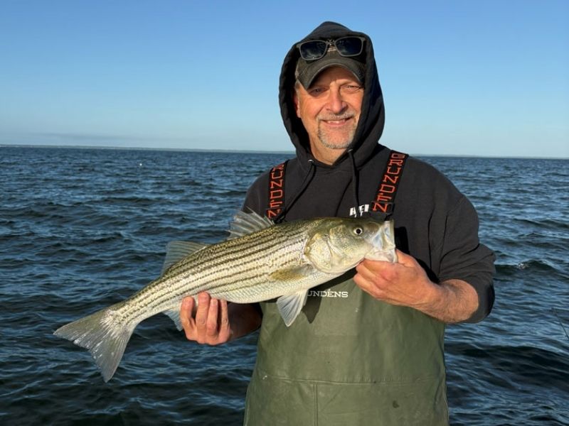 striped bass fishing chesapeake bay