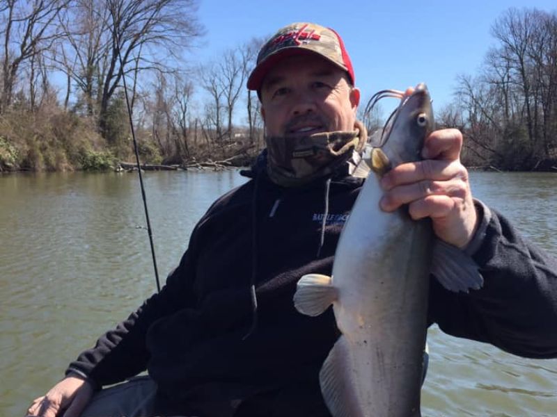 blue catfish chesapeake bay invasive species