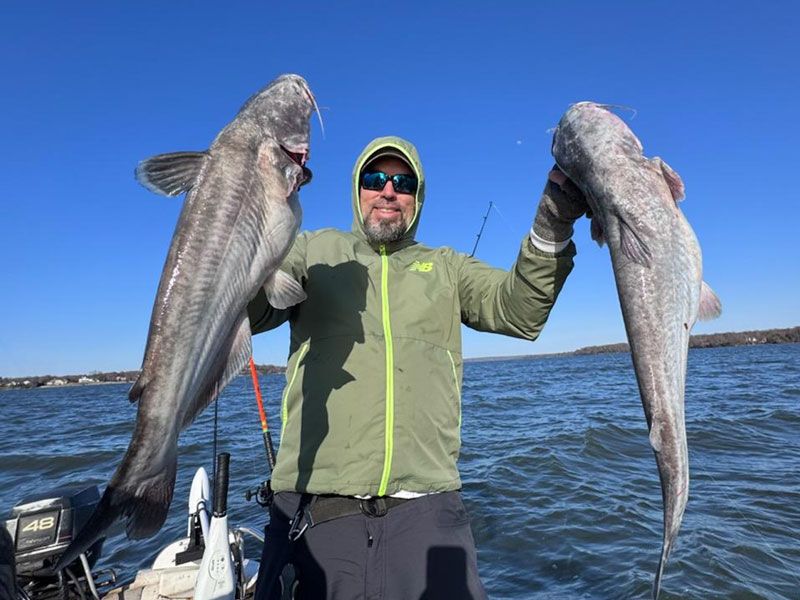 blue catfish chesapeake bay invasive species