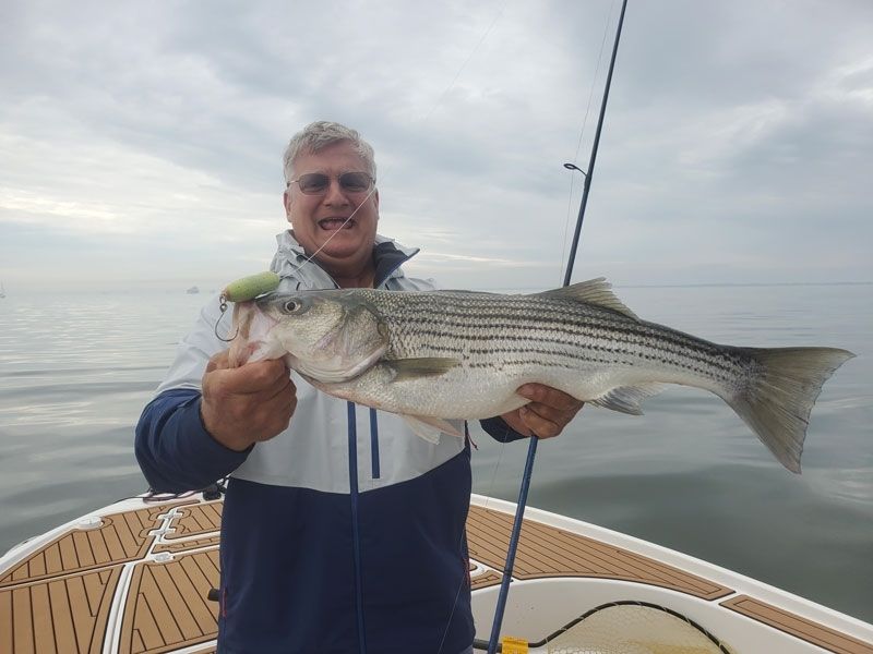 striped bass fishing chesapeake bay