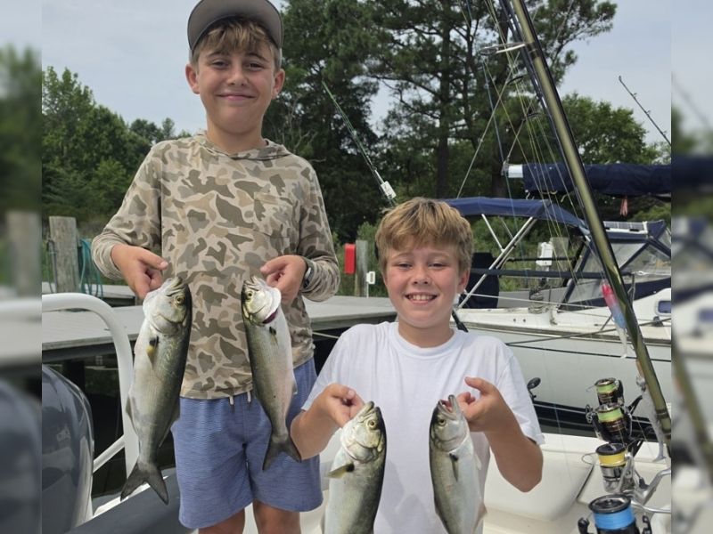 Bluefish fishing Chesapeake Bay