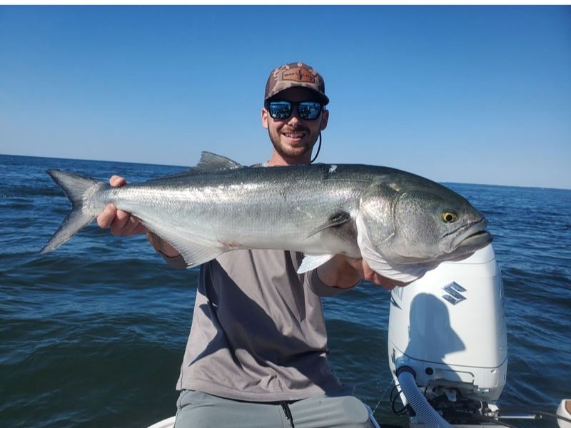 Bluefish fishing 