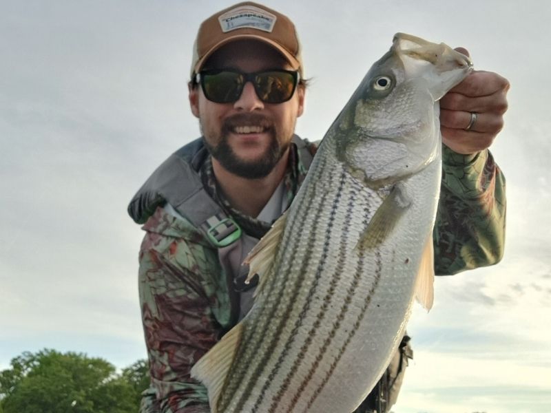 striped bass fishing chesapeake bay