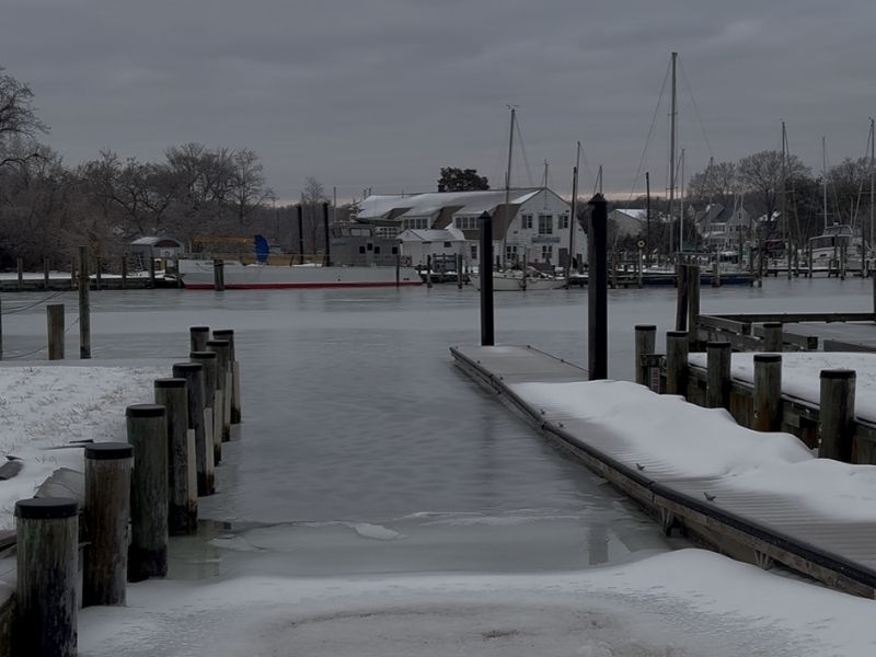 Chesapeake Bay Fishing