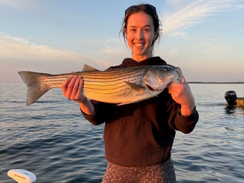 striped bass fishing Chesapeake Bay