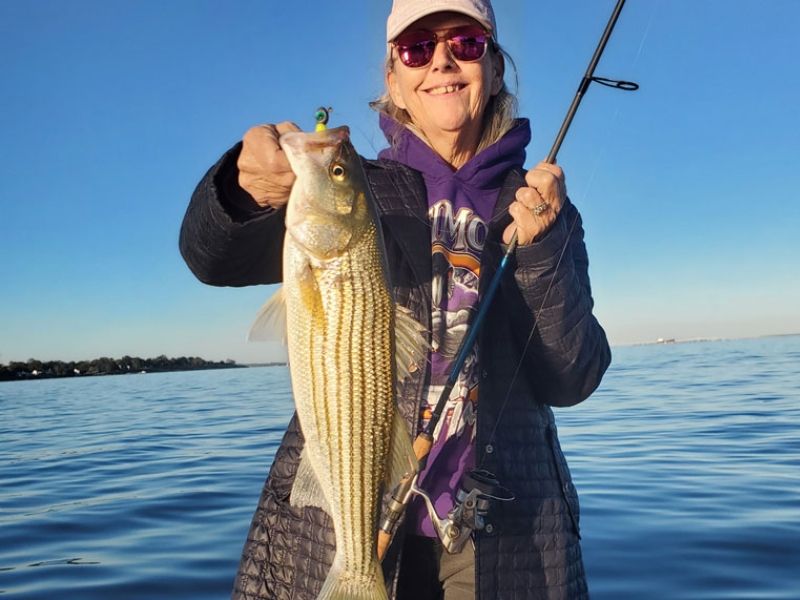 striped bass fishing chesapeake bay